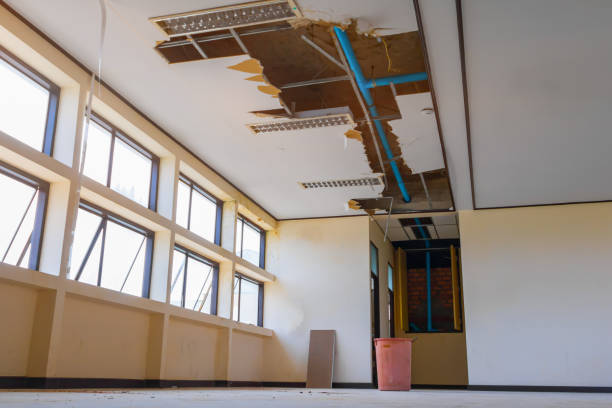 Best Fire Damage Restoration  in Malmstrom Af, MT