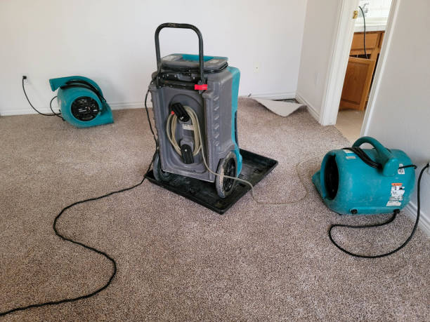 Best Flood damage cleanup  in Malmstrom Af, MT