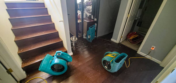 Best Water damage restoration experts  in Malmstrom Af, MT