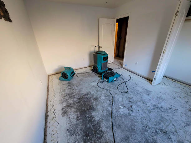 Best Water damage restoration near me  in Malmstrom Af, MT