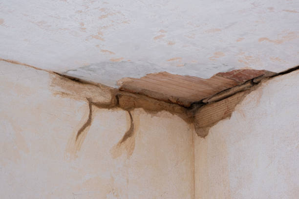 Water damage restoration mold remediation in MT