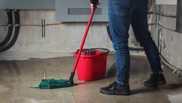 Best Local water damage restoration  in Malmstrom Af, MT