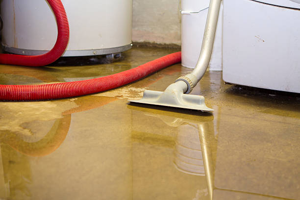 Best Flood damage cleanup  in Malmstrom Af, MT