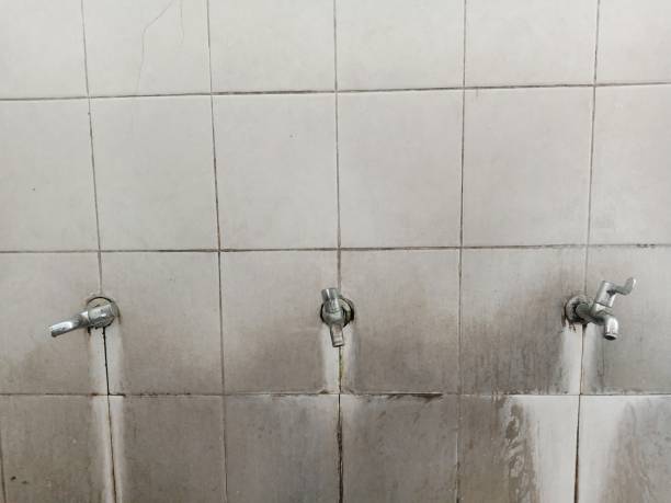 Best Residential water damage restoration  in Malmstrom Af, MT
