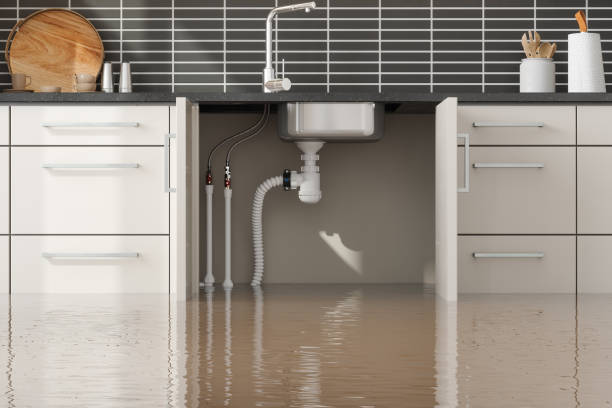 Best Fire Damage Restoration  in Malmstrom Af, MT