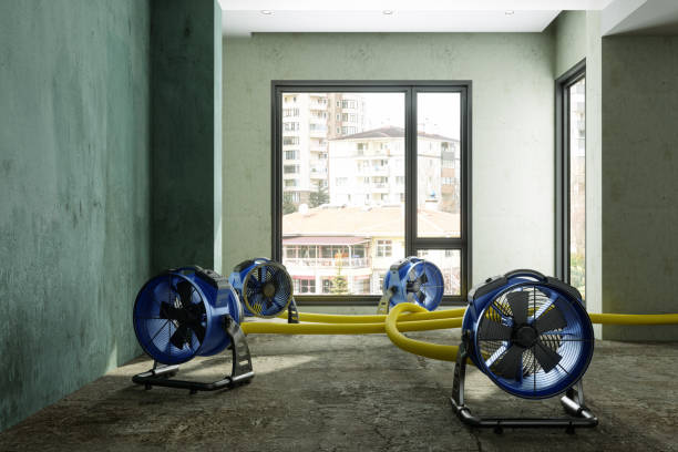Best 24-hour water damage restoration  in Malmstrom Af, MT