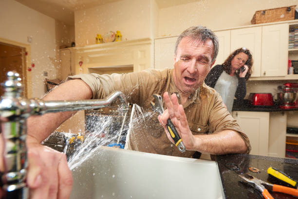 Best Water damage cleanup near me  in Malmstrom Af, MT